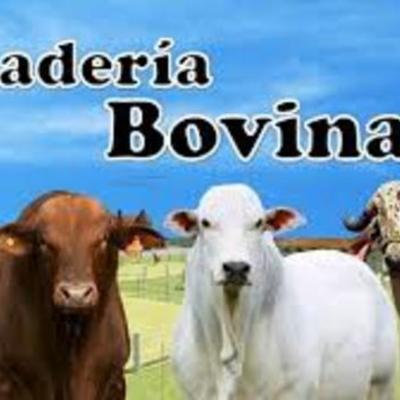 Timeline: produccion ganadera