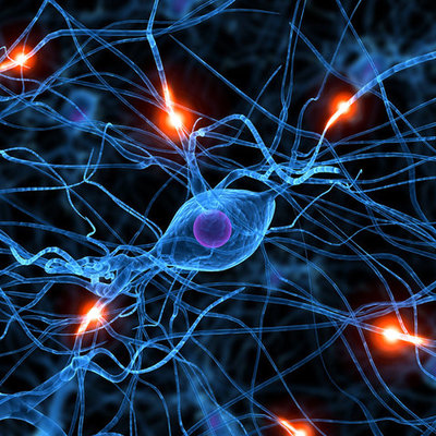 Timeline: Timeline: History of Science