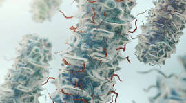 Timeline: Historia de la Parasitología