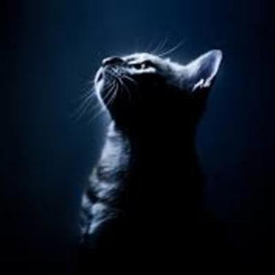 Timeline: Israel/Palestinian conflict