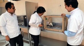 Timeline: DESARROLLO DE LA PSICOLOGÍA EXPERIMENTAL