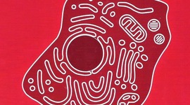 Timeline: Hecho históricos de la biología molecular