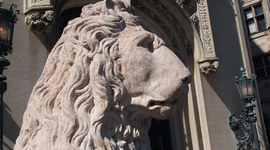 Timeline: Kitchen Remodel