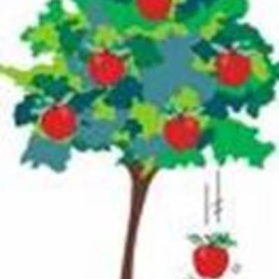 Timeline: Historia de la caída libre de los cuerpos