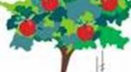 Timeline: Historia de la caída libre de los cuerpos