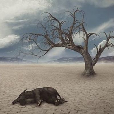 Timeline: La Extinción