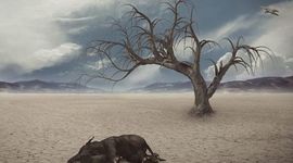 Timeline: La Extinción