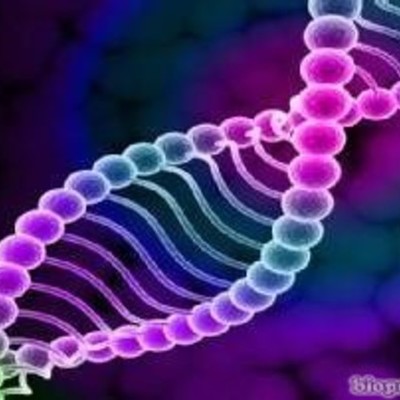 Timeline: La historia de la genética