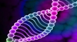 Timeline: La historia de la genética