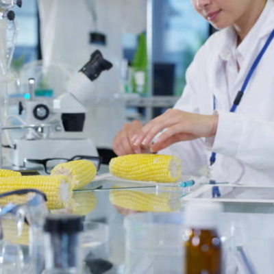 Timeline: Historia De La Ingeniería