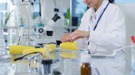 Timeline: Historia De La Ingeniería