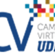 Cv udes