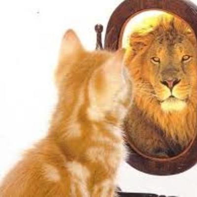 Timeline: Frases sobre el autoestima