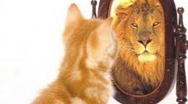 Timeline: Frases sobre el autoestima