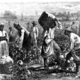 Cotton picking