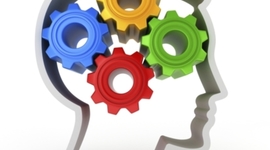 Timeline: teorías que clasificaron las estrategias cognitivas