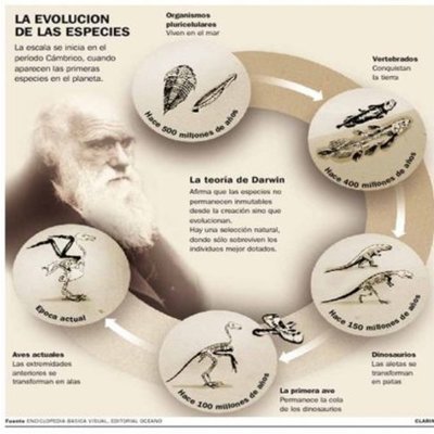 Timeline: TEORÍAS DE LA EVOLUCIÓN DE LAS ESPECIES
