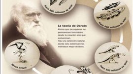 Timeline: TEORÍAS DE LA EVOLUCIÓN DE LAS ESPECIES