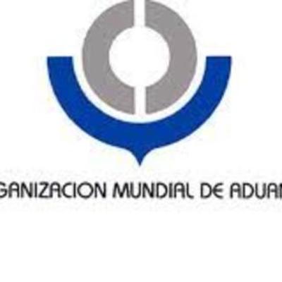 Timeline: ORGANIZACIÓN OMA