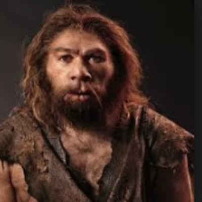 Timeline: Homo Neandhertal