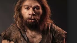 Timeline: Homo Neandhertal