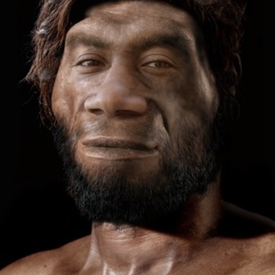 Timeline: Home Erectus