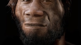 Timeline: Home Erectus