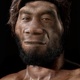 Homo erectus pekinensis