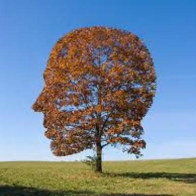 Timeline: Transcendentalism Timeline