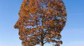 Timeline: Transcendentalism Timeline