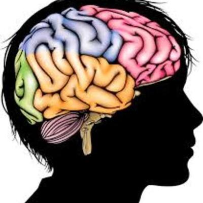 Timeline: Aportaciones de Neuropsicología