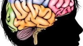 Timeline: Aportaciones de Neuropsicología