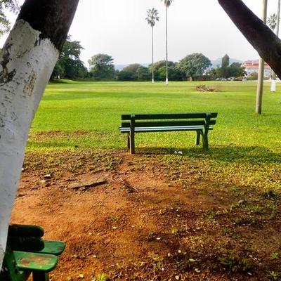 Timeline: La poética del desarraigo