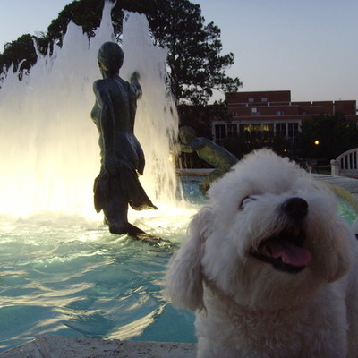 Timeline: Strozier at Landis