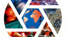 Timeline: Linea del tiempo "OMA".