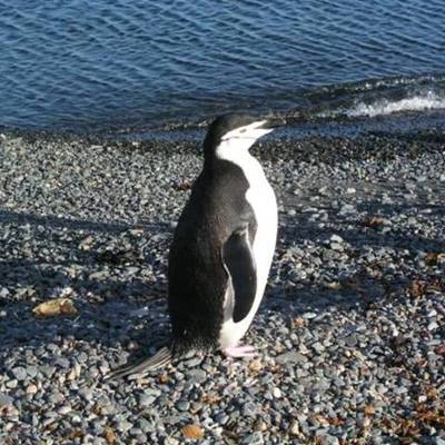 Timeline: Middle Ages Timeline