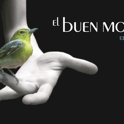 Timeline: La Eutanasia y su Impacto en México