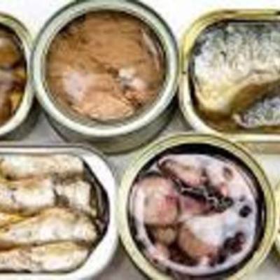 Timeline: Historia de la conservación