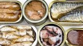 Timeline: Historia de la conservación