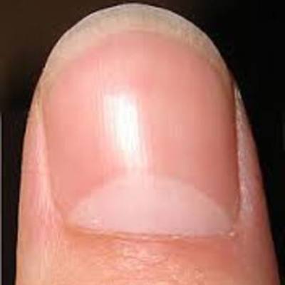 Timeline: universidad