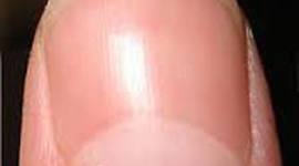 Timeline: universidad