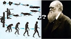 Timeline: LA EVOLUCIÓN