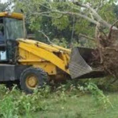 Timeline: ALTERACIÓN DE LOS HÁBITATS NATURALES DE LOS ANIMALES