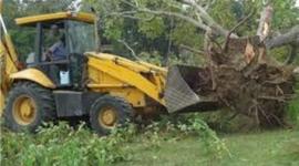 Timeline: ALTERACIÓN DE LOS HÁBITATS NATURALES DE LOS ANIMALES