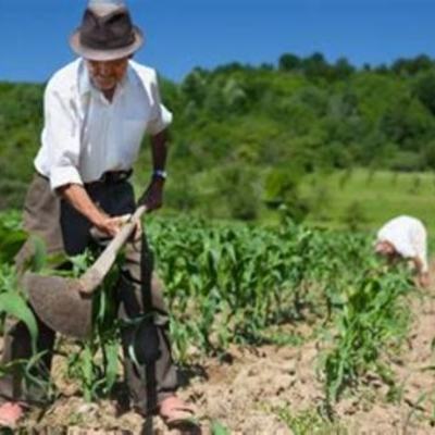 Timeline: La Reforma Agraria de 1961