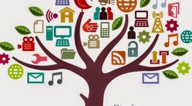 Timeline: Desarrollo curricular