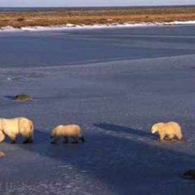 Timeline: CREACIÓN DE RED