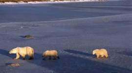 Timeline: CREACIÓN DE RED