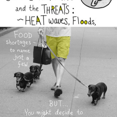 Timeline: My reading log