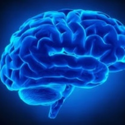 Timeline: Orígenes Históricos de la Psicología Cognitiva